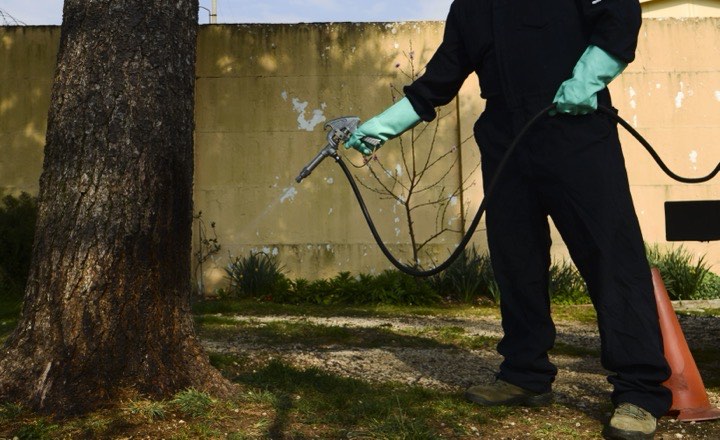 A pest control technician in navy coveralls spraying around a tree on a property's grounds