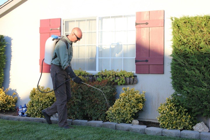 A pest control technician in gloves treating around a home's foundation with a backpack sprayer